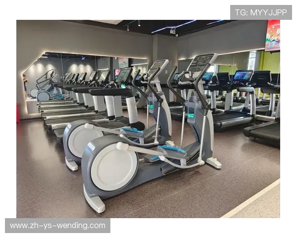 进口健身器材批发渠道：如何采购优质进口设备